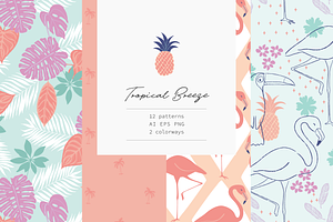 Tropical Breeze Collection Vector