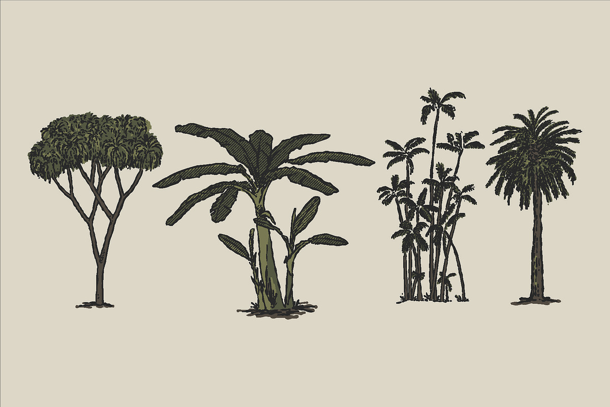 East Indies Botanical Illustrations, a Decorative Illustration by Rusted Works (Photo 6 of 10)