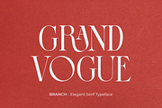 BRANCH - Elegant Serif Typeface, a Serif Font by zeenesia (Thumbnail 2 of 16)