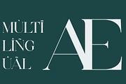Gares - Elegant Serif Font, a Serif Font by Aqeel_Art (Thumbnail 11 of 12)