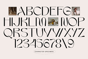 Kaldera - Modern Sans Serif Display