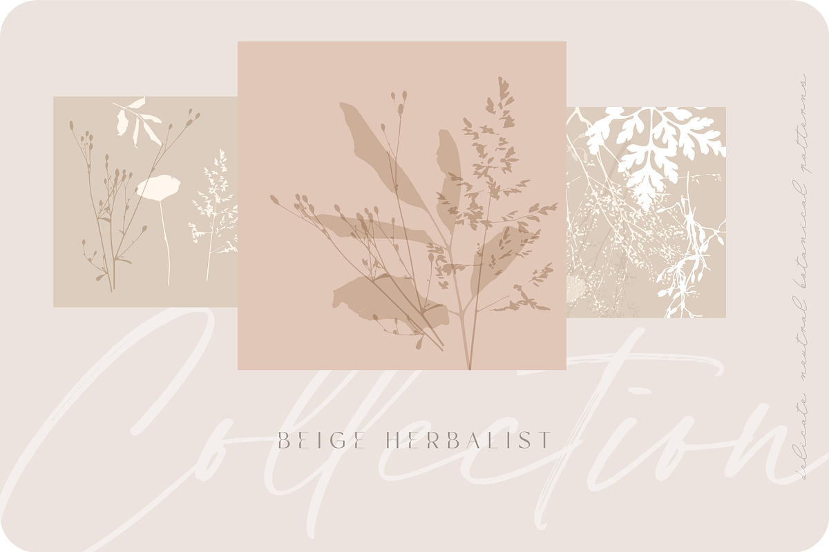 Beige botanical pattern collection, a Pattern Graphic by Anna Sokol (Photo 13 of 16)
