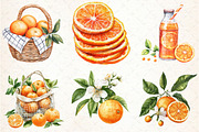 Watercolor Citrus Orange Clipart PNG, an Illustration by Libby Wishes (Thumbnail 3 of 5)