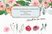 Winter Botanicals Clipart, an Illustration by Emerald & Ivy Studios (Thumbnail 7 of 9)