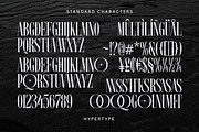 Hypertype : Elegant Serif Display, a Serif Font by Fargun Studio (Thumbnail 9 of 20)
