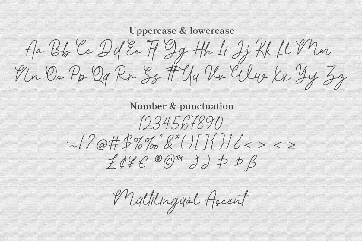 Rosseta Notes - Monoline Signature, a Script Font by Attype (Photo 7 of 8)