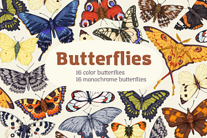 Vintage hand-drawn butterflies set, an Animal Illustration by Good Studio