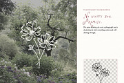 Spring Floral Doodle Line Art Bundle, an Object Illustration by The October Creative (Thumbnail 12 of 13)