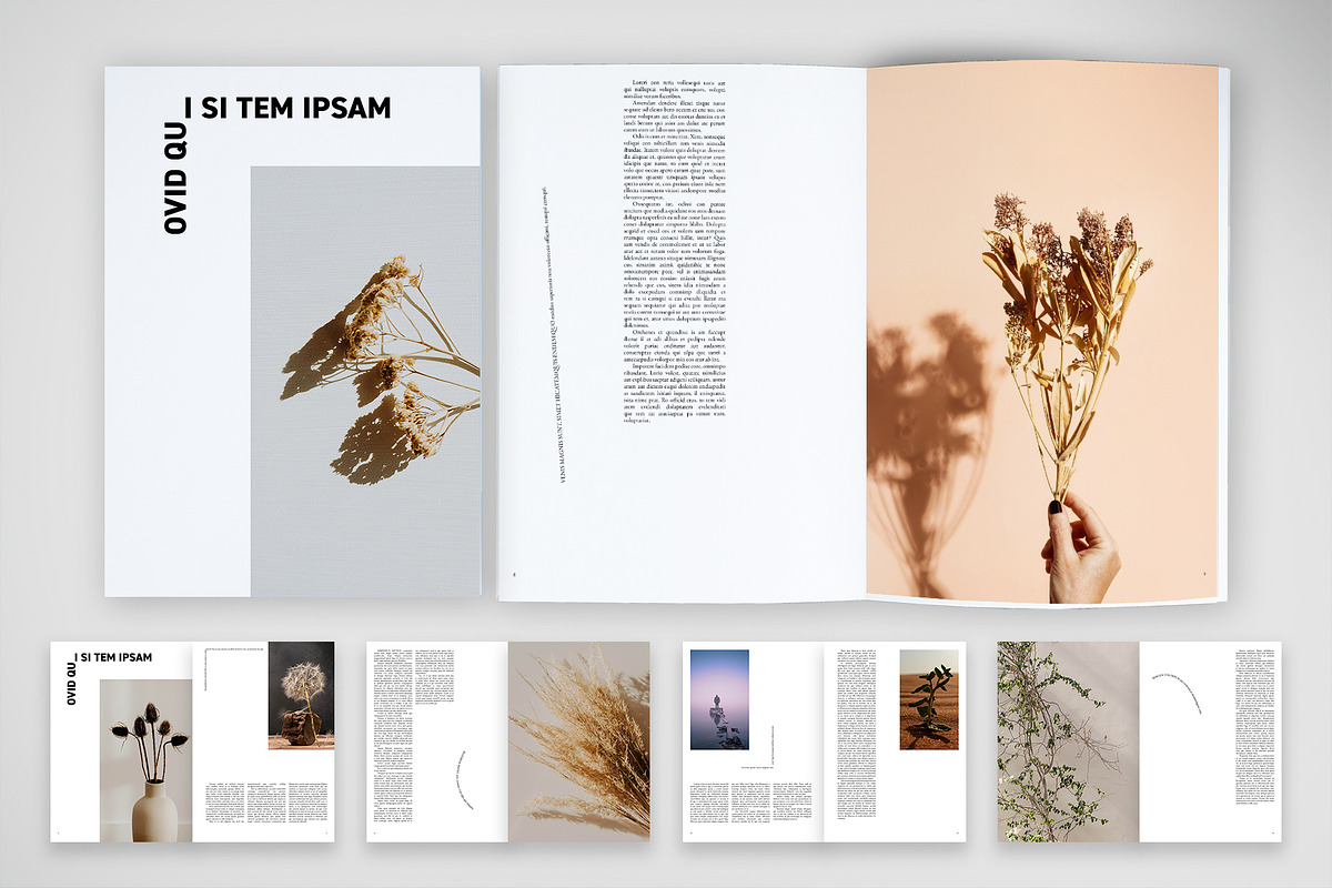 Modern Brochure with Free Text