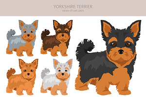 Yorkshire Terrier Clipart