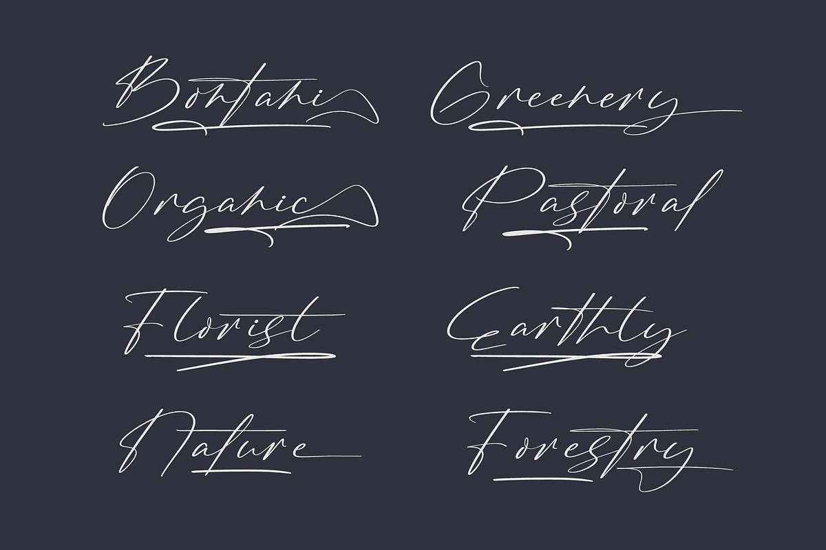 Brington Australi Stylish Signature, a Script Font by stylishtype.co (Photo 7 of 20)