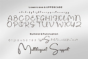 Rigalia Script, a Script Font by JNJ Studio (Thumbnail 9 of 10)