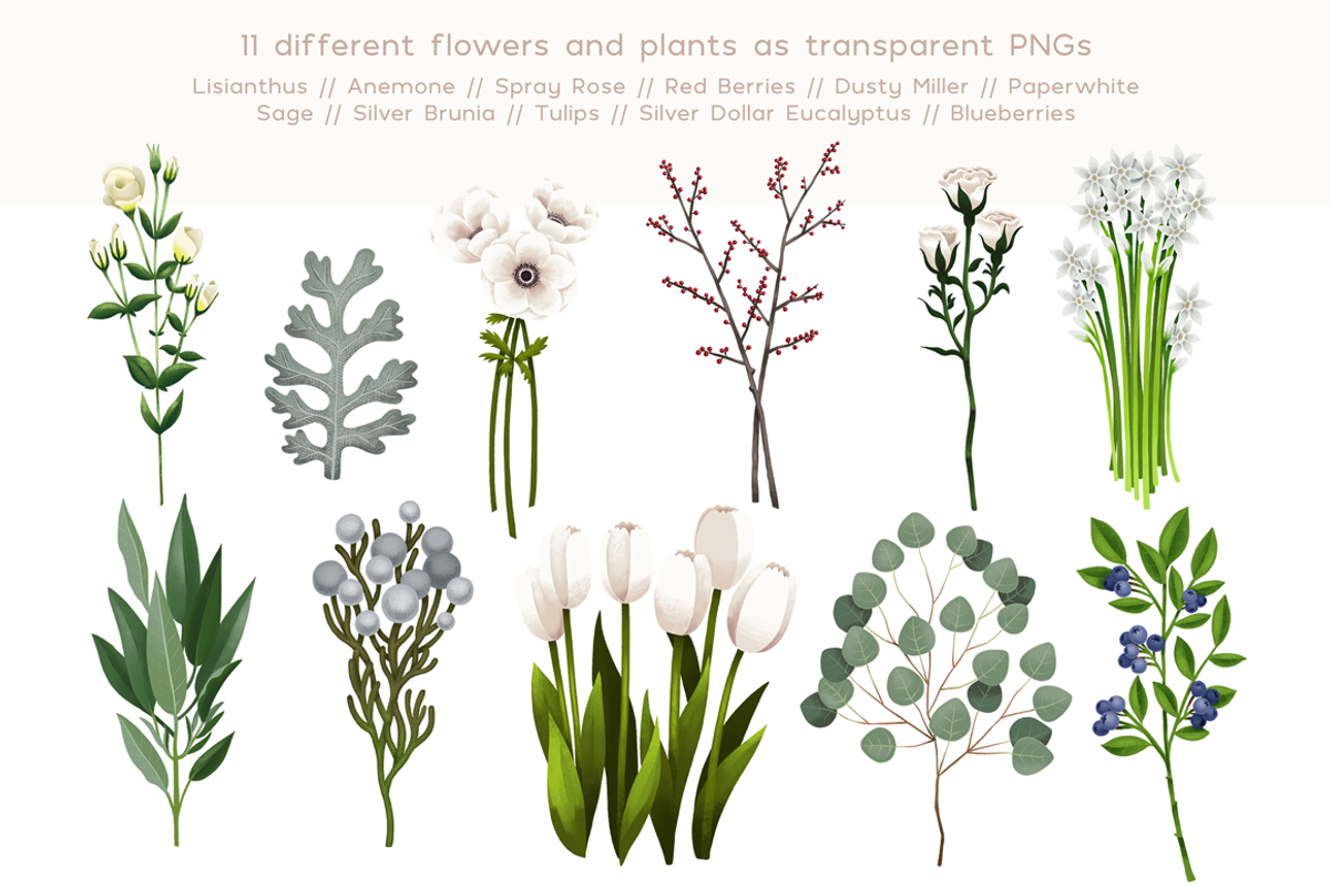 White Flowers, a Decorative Illustration by skrich (Photo 2 of 8)