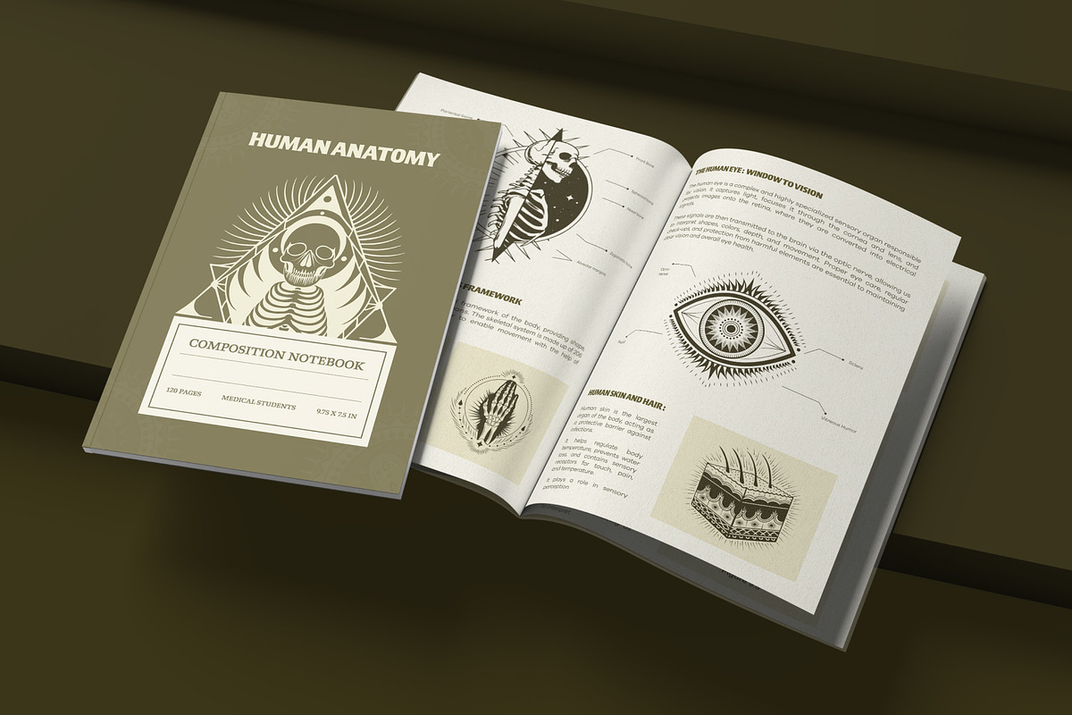 100 Anatomical Illustrations Set, an Education Illustration by Prosymbols (Photo 4 of 11)