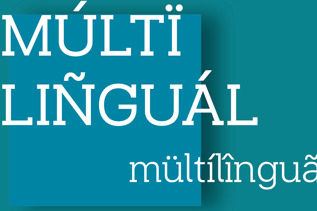 [80% OFF] Beaga | Font Family, a Slab Serif Font by Alvotype (Photo 3 of 4)