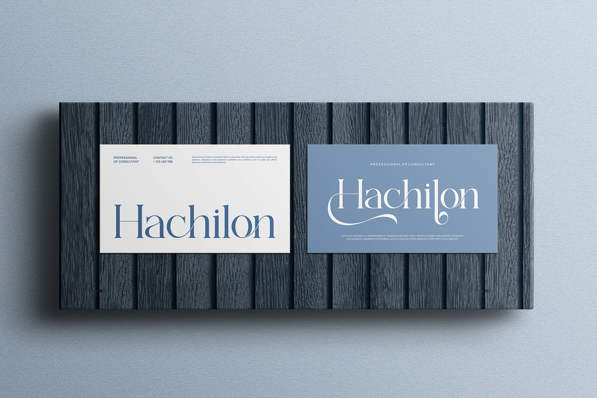 Chena | Modern Minimalist Serif Font, a Serif Font by Ermedia Studio (Photo 7 of 10)
