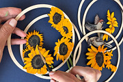 Sunflower Birds Layered SVG Art, an Object Graphic by HelloWood (Thumbnail 4 of 4)