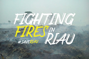 Carbonera Brush Fonts, a Font by Adam Fathony (Thumbnail 2 of 6)