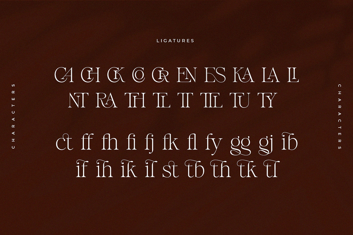 Cresinta – Modern & Stylish Serif, a Serif Font by BrandSemut (Photo 9 of 10)