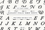 Vintage Italic Serif Font, a Serif Font by Century Library (Thumbnail 1 of 3)