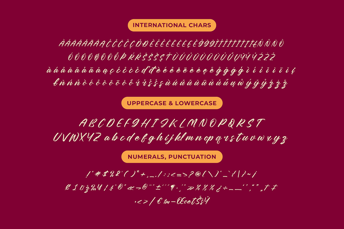 Nesthan Brother Modern Brush Font, a Script Font by Letterena Studios Script (Photo 18 of 20)