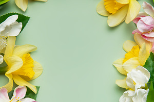 Daffodils and apple blossoms creating a floral frame on green ba, a Nature Photo by Olena Rudo