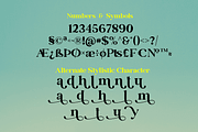 Vintage Modern Font, a Script Font by Graphue (Thumbnail 4 of 12)