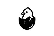 Cute Easter Chick Hatch Vector Bundl, an Illustration by jahid234 (Thumbnail 11 of 51)
