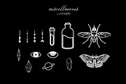 80 Celestial Procreate Stamp Brushes, a Brush Add-On by BrushBoy (Thumbnail 5 of 7)