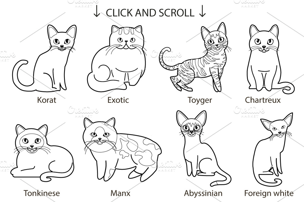 25 breeds of cats, vector, an Animal Illustration by Mallinka (Photo 3 of 3)