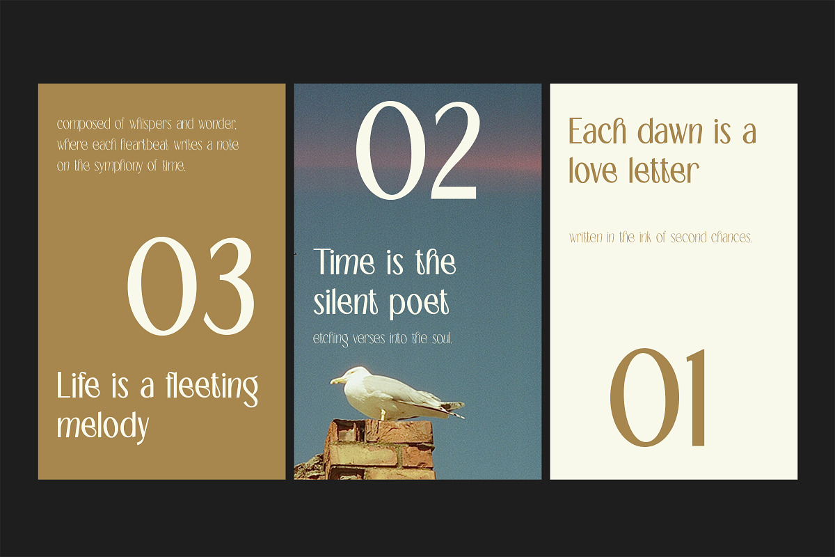 TBJ Palatino Sans Font Family, a Sans Serif Font by Taboja Studio (Photo 6 of 11)