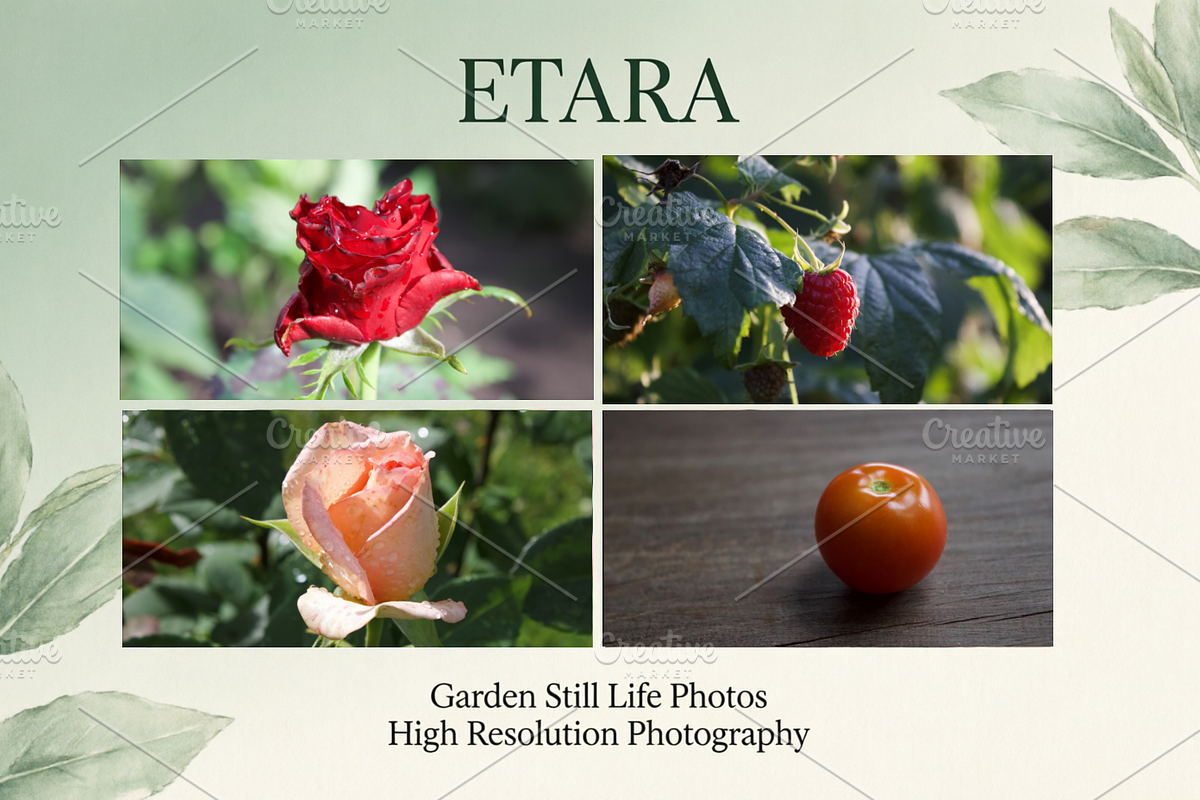 Garden Still Life Photos ETARA, a Nature Photo by ETARA by Mea Hau (Photo 1 of 8)