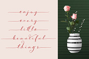 Scriptic Wilder, a Script Font by Fontdroe (Thumbnail 10 of 14)