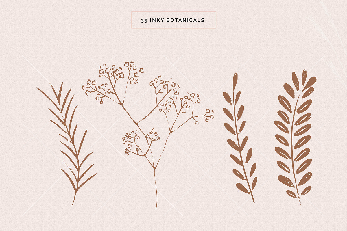 Organic Botanicals & Logo Designs, an Illustration by amber&ink (Photo 8 of 17)