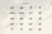Velparde Janeiro - Modern Serif Font, a Serif Font by Artchitype Studio (Thumbnail 22 of 26)