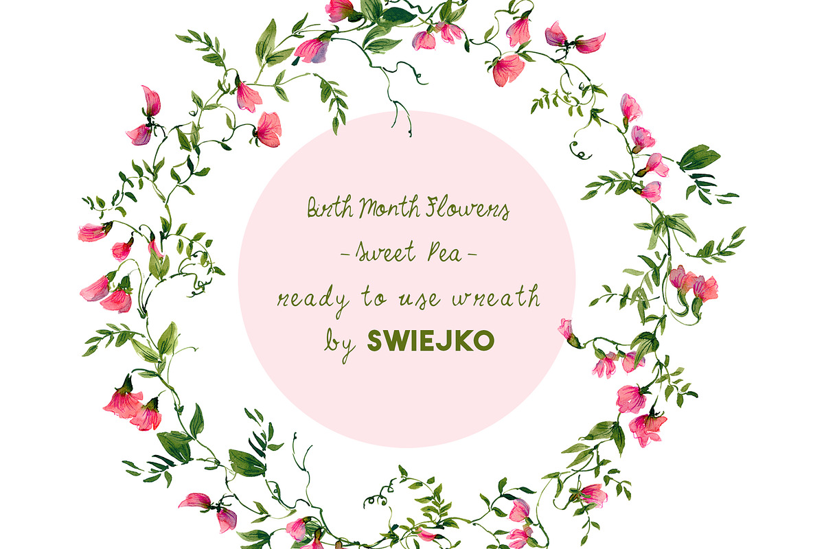 Sweet Pea clipart, birthmonth flower, a Decorative Illustration by swiejko (Photo 3 of 5)