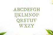 Jerricca Serif 4 Font Family Pack, a Serif Font by Creativetacos (Thumbnail 2 of 5)