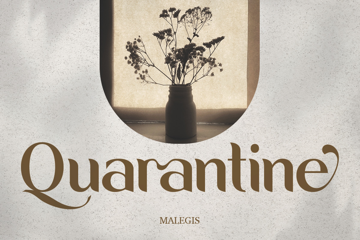 Malegis, a Sans Serif Font by Skypia (Photo 2 of 13)