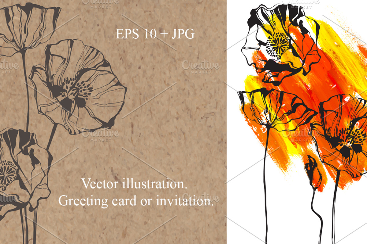 Poppy. Vector collection., an Illustration by maritime_m (Photo 3 of 4)