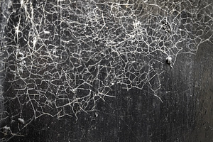 Dry soil showing and spideweb on top, an Abstract Photo by DanFLCreativo