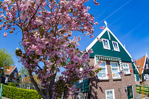 Village of Marken in the spring sun., a Photo by Pictures for you!!!!!!!!!