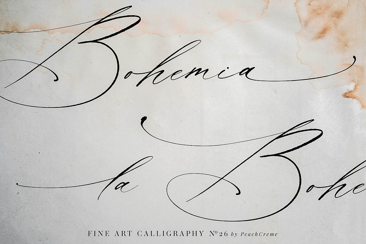 La Bohemia // Fine Art Calligraphy, a Script Font by PeachCreme (Photo 11 of 12)