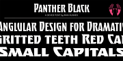 Panther Black, a Font by Device (Thumbnail 5 of 5)