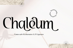 Chaleum Display Font, a Script Font by Sronstudio