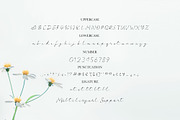 Charlotte - Casual Handwritten Font, a Script Font by StringLabs (Thumbnail 4 of 5)