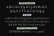 Raelyn - Lovely Script Font, a Script Font by Jozoor (Thumbnail 8 of 8)