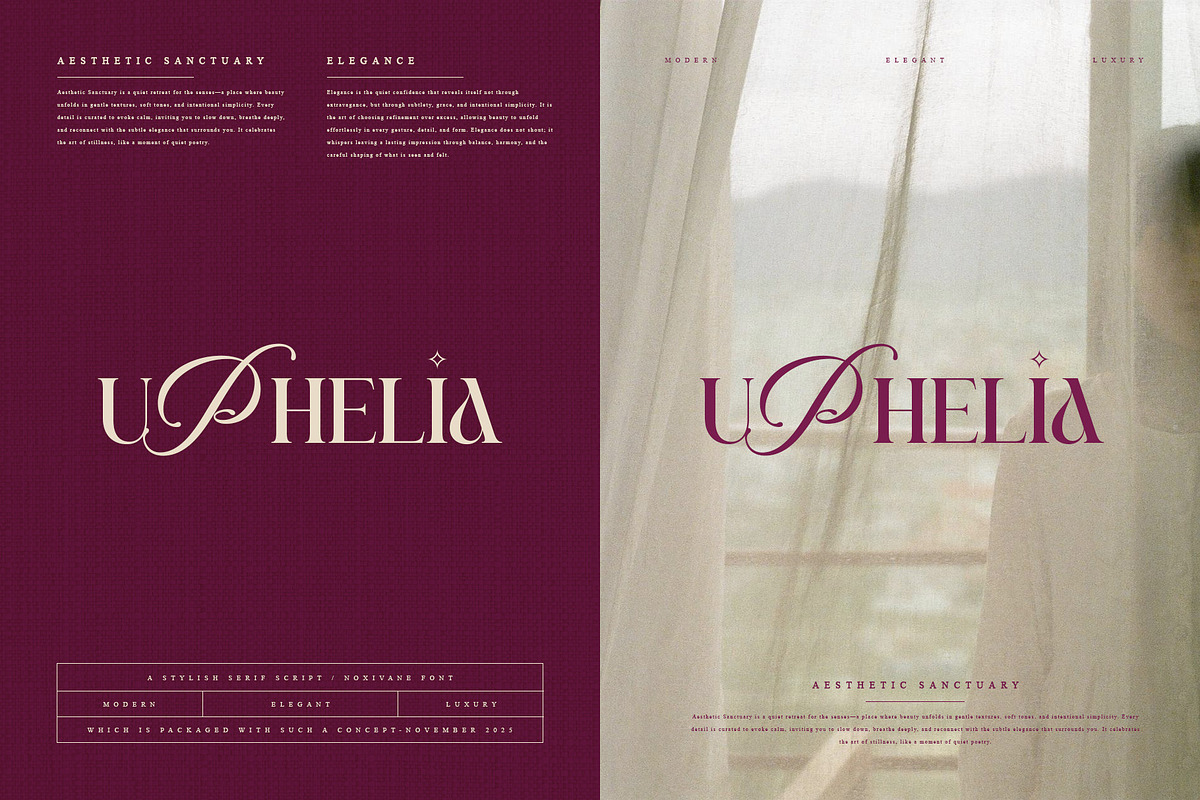 Noxivane — Stylish Serif Script, a Serif Font by Almeera Std (Photo 4 of 10)