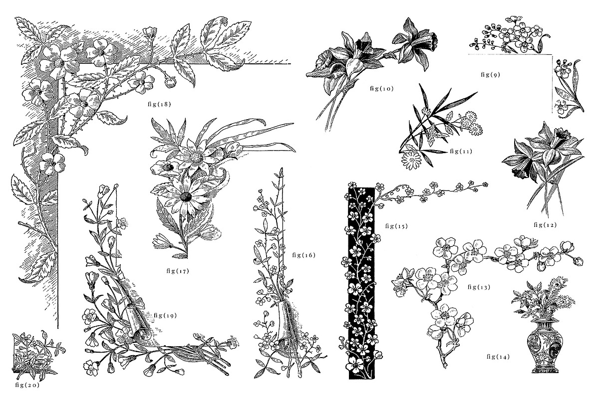 Vintage Botanical Borders, a Decorative Illustration by Century Library