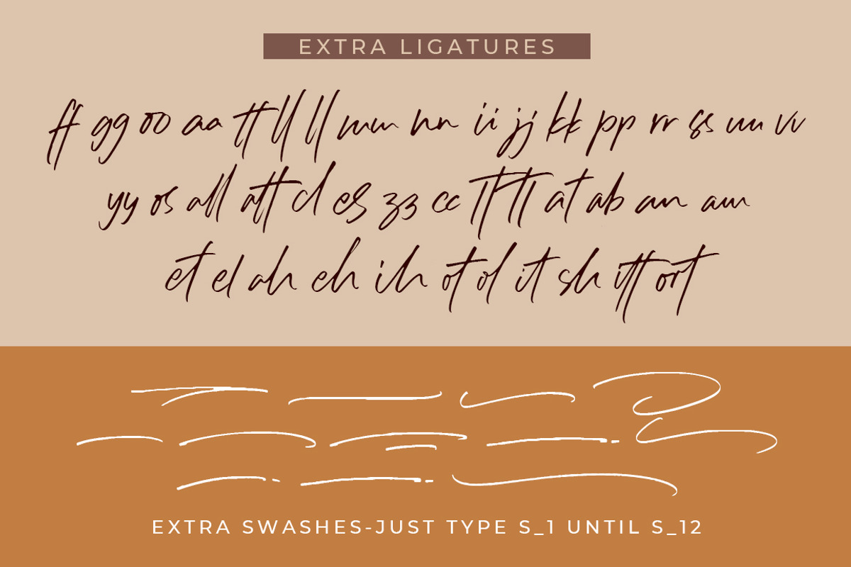 Sillii Willinn • A Versatile Font, a Script Font by azetypestudios.com (Photo 10 of 11)