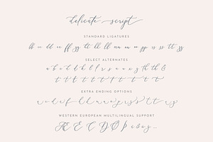 Delicate Elegant Script & Ornaments